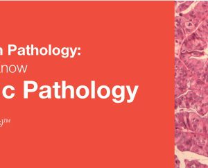 Classic Lectures in Pathology: What You Need to Know: Gynecologic Pathology 2018