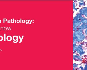 Classic Lectures in Pathology: What You Need to Know: Neuropathology 2018