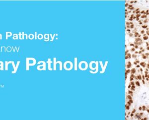 Classic Lectures in Pathology What You Need to Know Genitourinary Pathology 2019