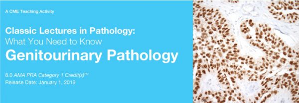 Classic Lectures in Pathology What You Need to Know Genitourinary Pathology 2019