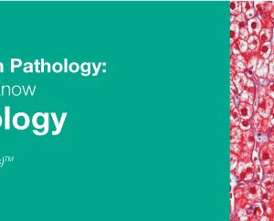 Classic Lectures in Pathology: What You Need to Know: Liver Pathology 2018