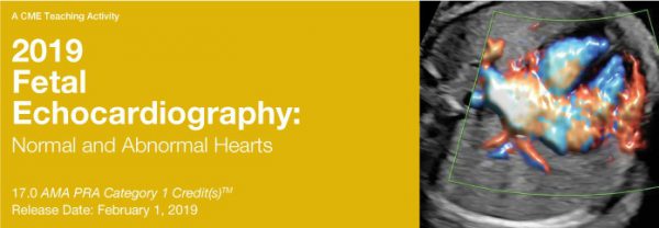 2019 Fetal Echocardiography: Normal and Abnormal Hearts