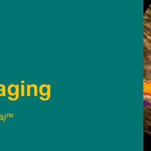 2019 Noninvasive Vascular Imaging