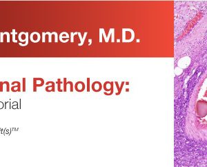 Expert Series with Elizabeth Montgomery, M.D.: Gastrointestinal Pathology: A One-On-One Tutorial 2018