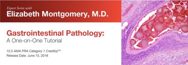 Expert Series with Elizabeth Montgomery, M.D.: Gastrointestinal Pathology: A One-On-One Tutorial 2018