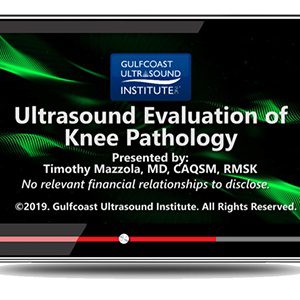 Gulfcoast: Ultrasound Evaluation of Knee Pathology