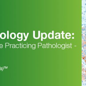 2020 Surgical Pathology Update: Diagnostic Pearls for the Practicing Pathologist, Vol. IV