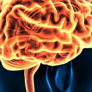 Harvard Neurology Board Review 2021