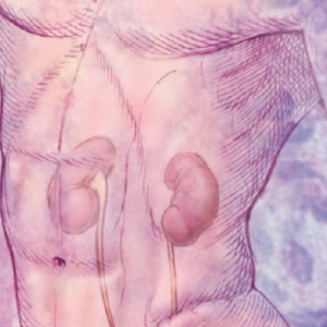 Harvard Comprehensive Review of Nephrology 2021
