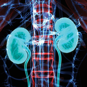 Intensive Review of Nephrology 2021