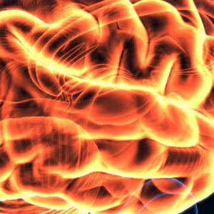 Harvard Neurology for the Non-Neurologist 2023