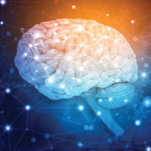 Psychopharmacology for Primary Care Physicians 2024