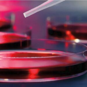 32nd Annual Mayo Clinic Hematology-Oncology Reviews 2023