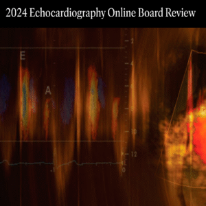 Mayo Clinic Echocardiography Online Board Review 2024