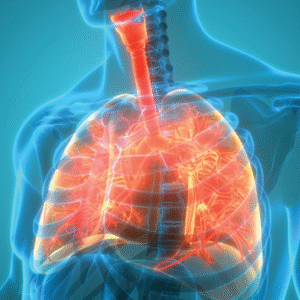 Pulmonary Medicine 2025