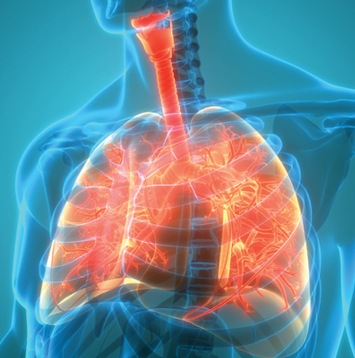 Pulmonary Medicine 2025