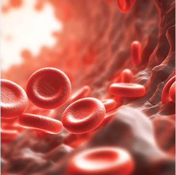 The Brigham and Dana-Farber Board Review in Hematology 2025