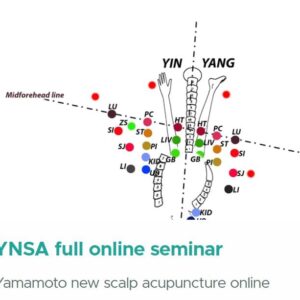 YNSA Full Online Seminar 2024